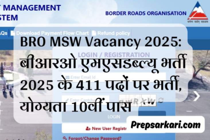 bro-msw-vacancy-2025